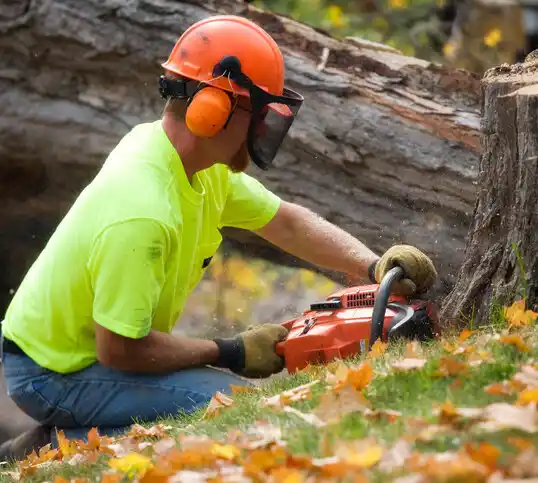 tree services Oscoda